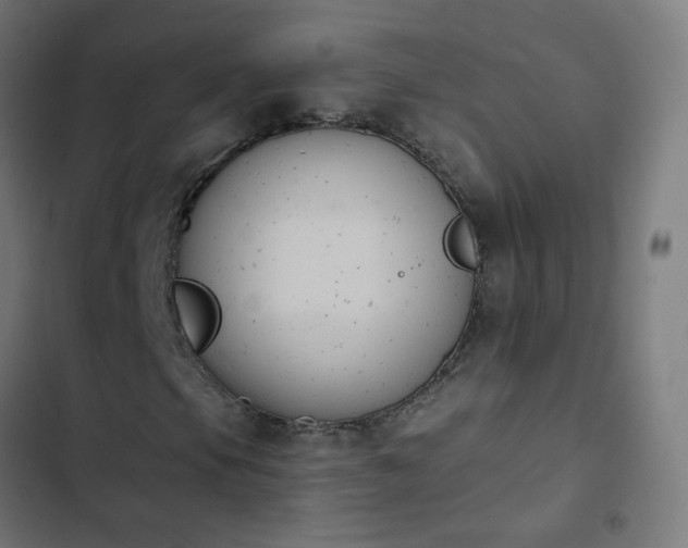 X0000103951105200809261742