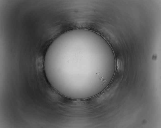 X0000103951107200809261742