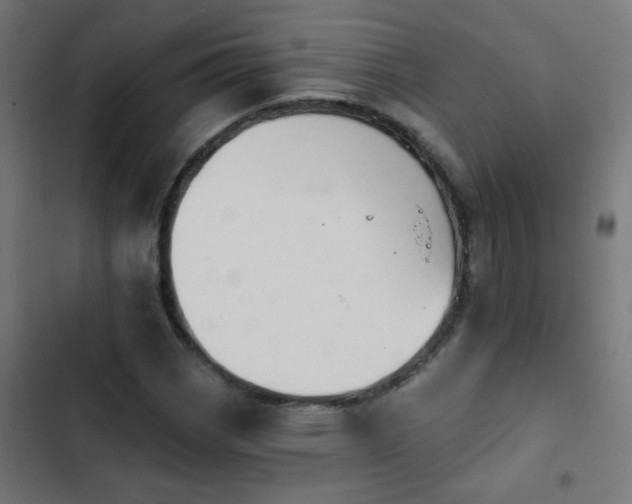 X0000103951113200809261742