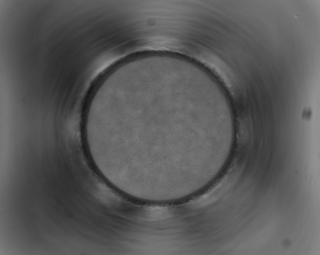 X0000103951114200809261742