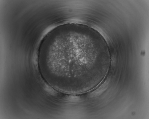 X0000103951115200809261742