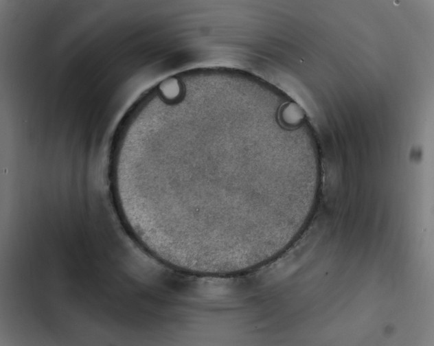 X0000103951116200809261742