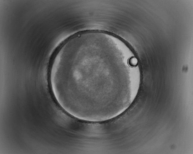 X0000103951120200809261742