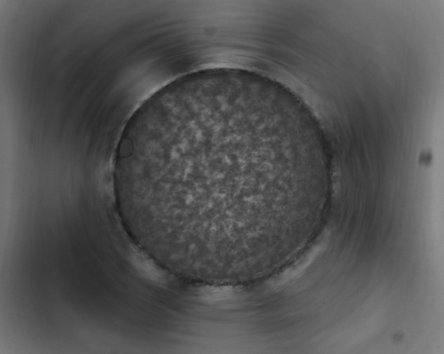 X0000103951121200809261742