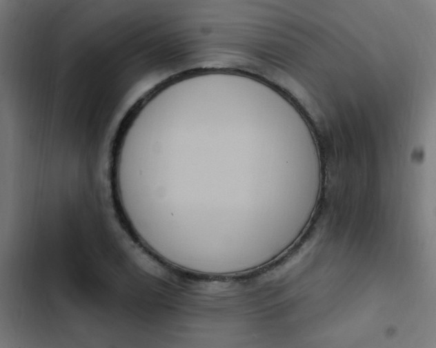 X0000103951122200809261742