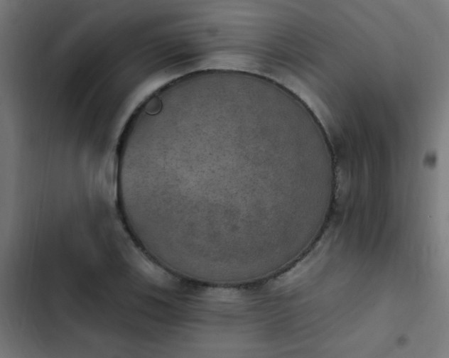 X0000103951123200809261742