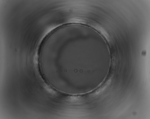 X0000103951125200809261742