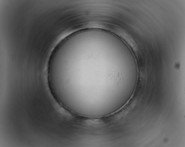 X0000103951133200809261742