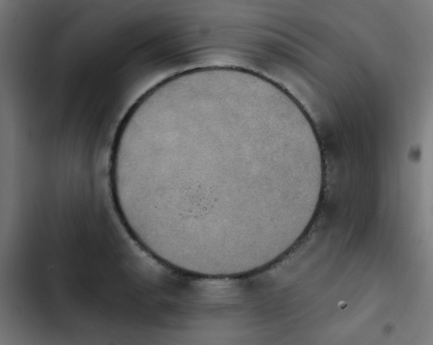 X0000103951134200809261742