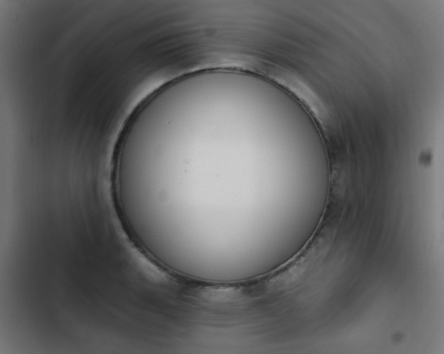 X0000103951135200809261742