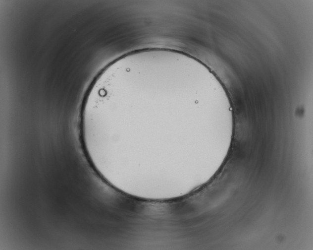 X0000103951136200809261742