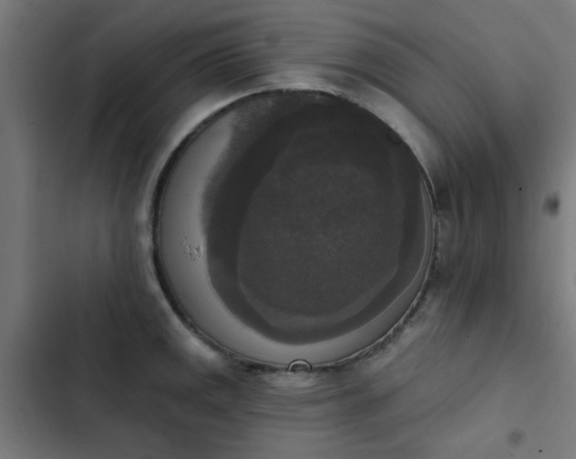 X0000103951141200809261742