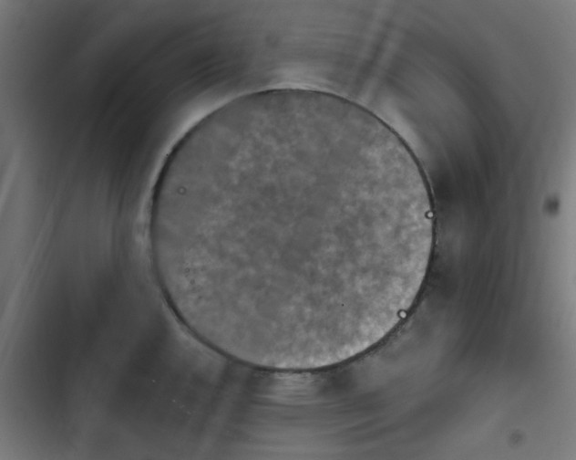 X0000103951144200809261742