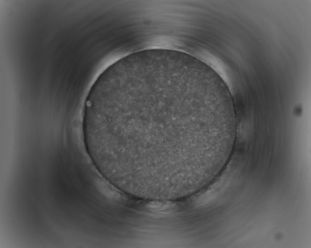 X0000103951146200809261742