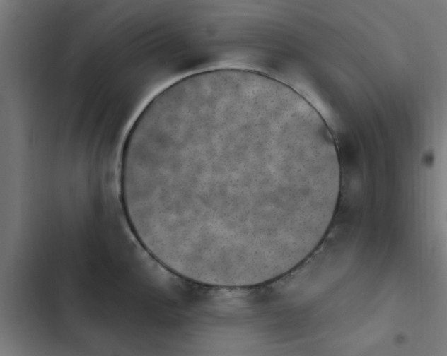 X0000103951148200809261742