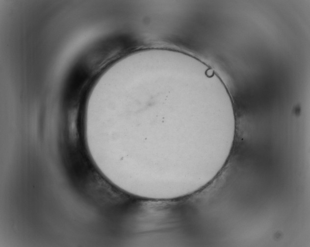 X0000103951150200809261742