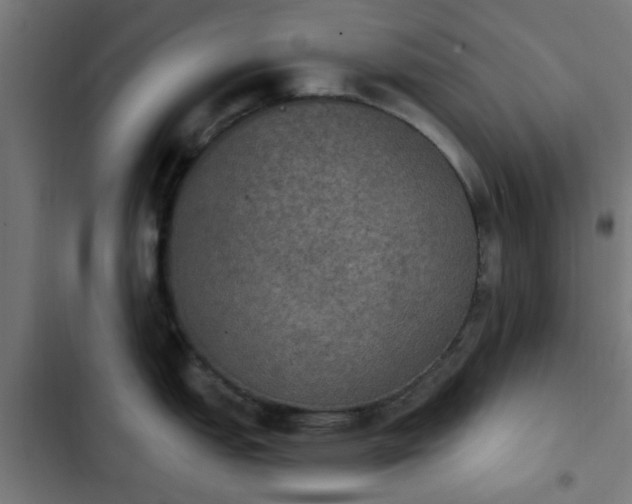 X0000103951151200809261742
