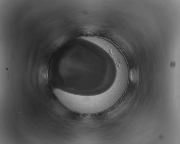 X0000103951155200809261742
