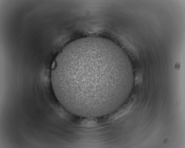 X0000103951156200809261742