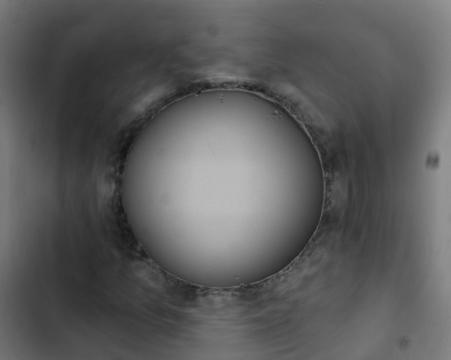 X0000103951157200809261742
