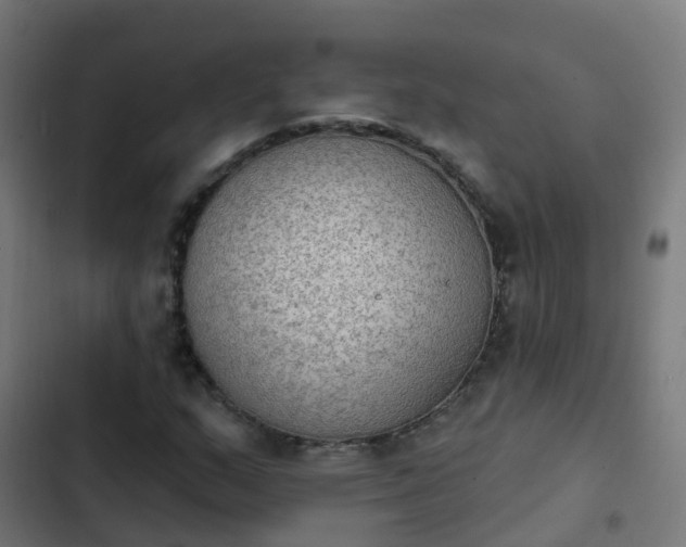 X0000103951159200809261742