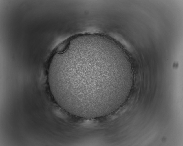 X0000103951160200809261742
