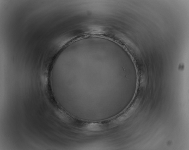 X0000103951161200809261742