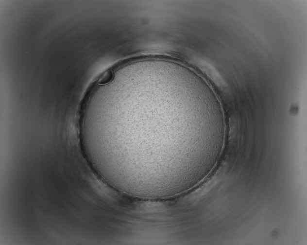 X0000103951164200809261742
