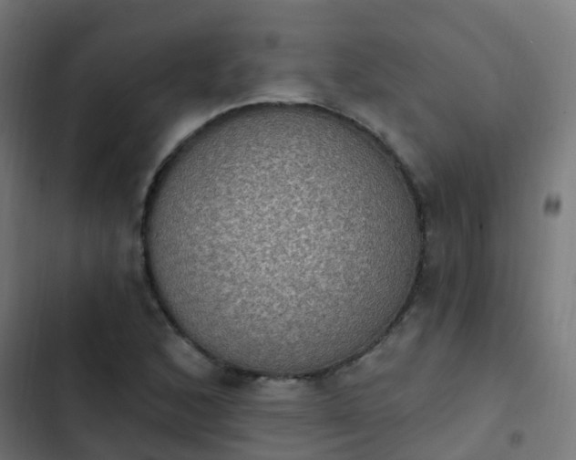 X0000103951168200809261742