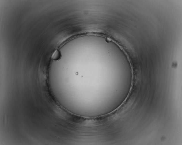 X0000103951169200809261741
