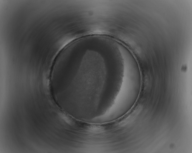 X0000103951170200809261741