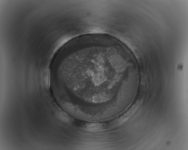 X0000103951171200809261741