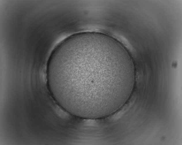 X0000103951172200809261741