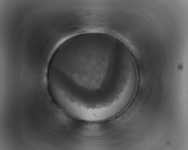 X0000103951174200809261741