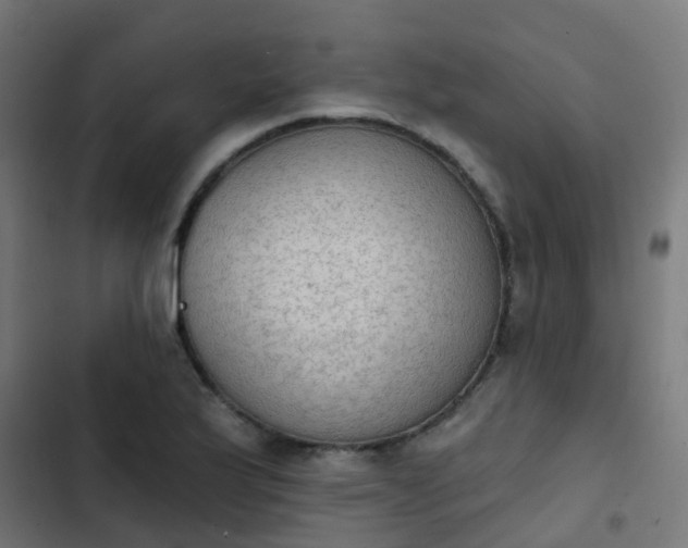 X0000103951175200809261741