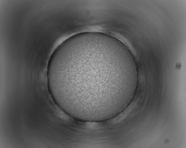 X0000103951176200809261741