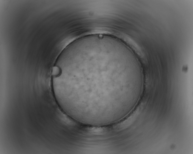X0000103951177200809261741