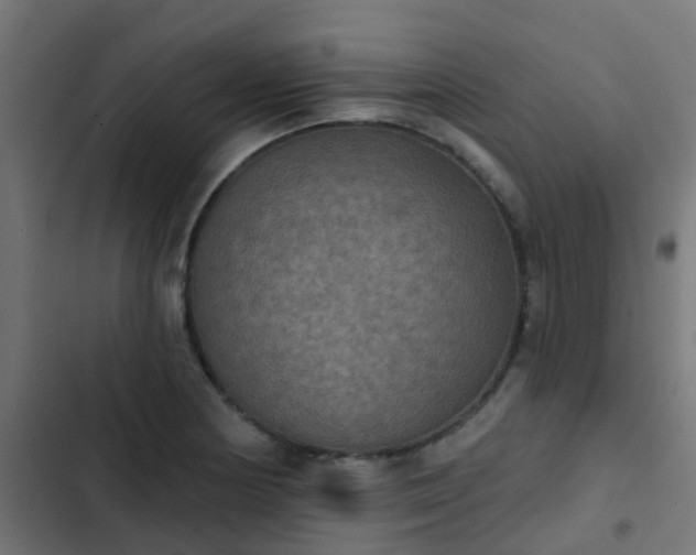 X0000103951178200809261741