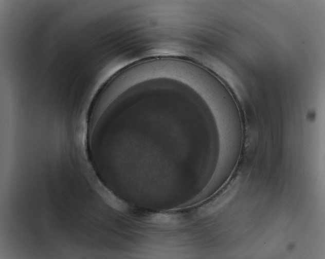 X0000103951179200809261741