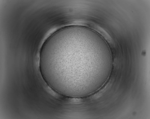 X0000103951180200809261741