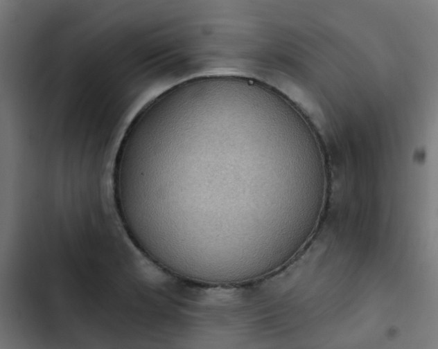 X0000103951181200809261741