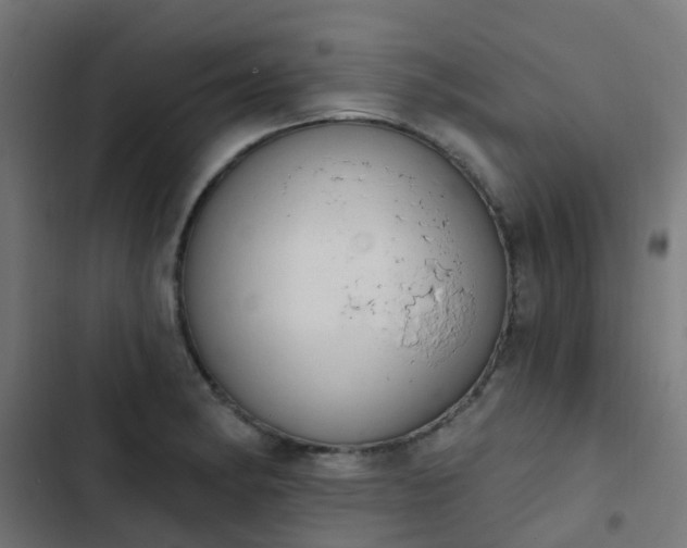 X0000103951182200809261741