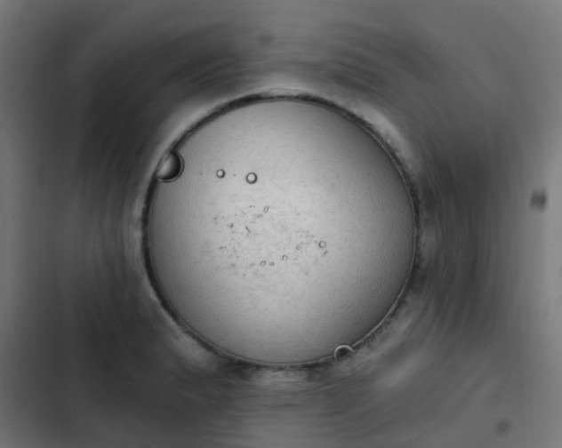 X0000103951183200809261741