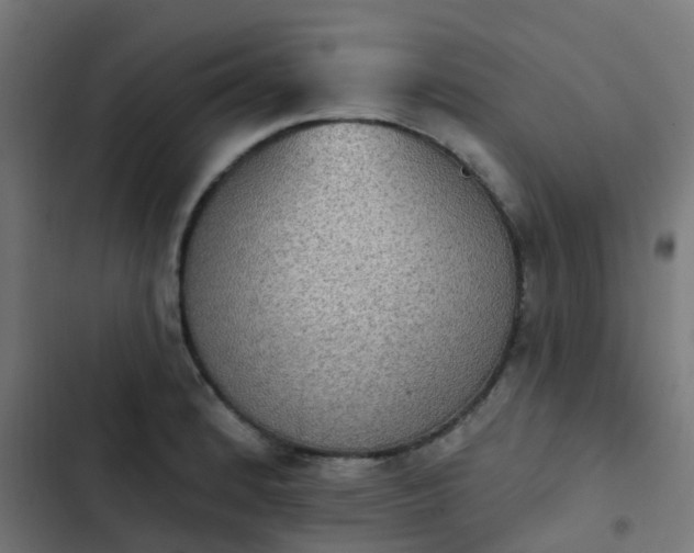 X0000103951184200809261741