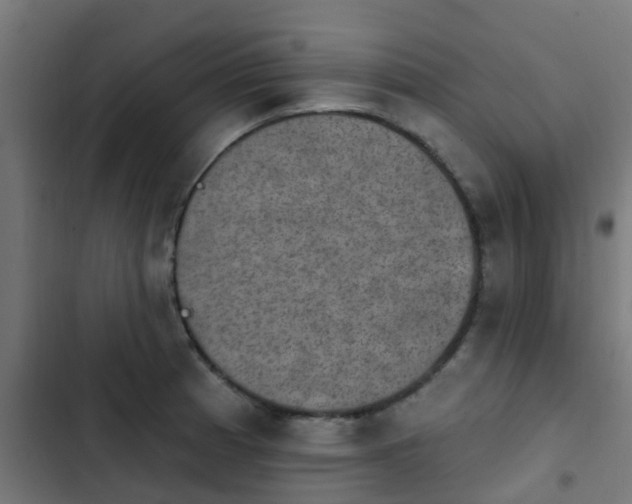 X0000103951185200809261741