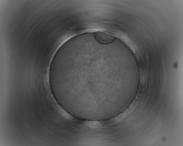 X0000103951186200809261741
