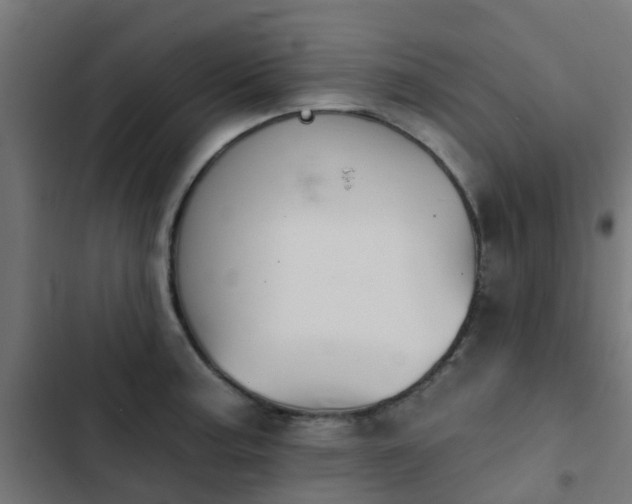 X0000103951187200809261741