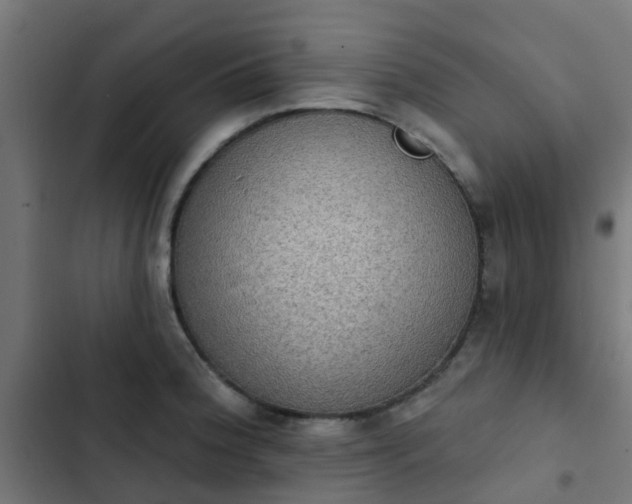 X0000103951188200809261741