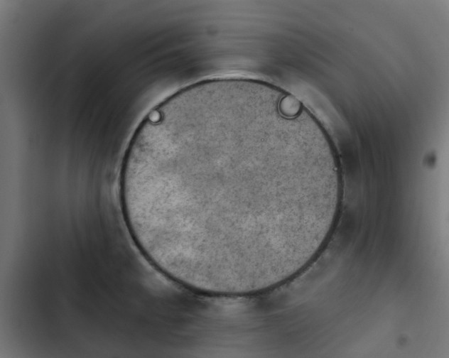 X0000103951189200809261741