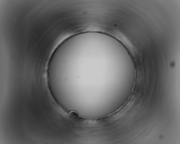 X0000103951190200809261741